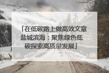 在低碳路上做高效文章 盐城滨海：聚焦绿色低碳探索高质量发展