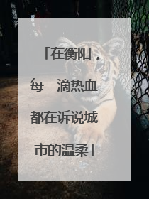 在衡阳，每一滴热血都在诉说城市的温柔