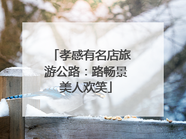 孝感有名店旅游公路：路畅景美人欢笑