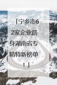 宁乡市62家企业跻身湖南省专精特新榜单！