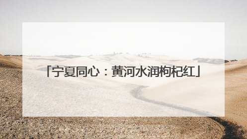 宁夏同心：黄河水润枸杞红
