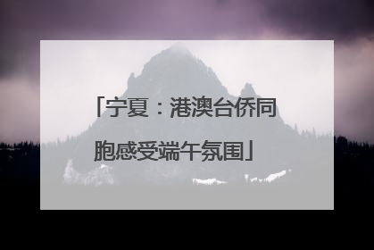 宁夏：港澳台侨同胞感受端午氛围