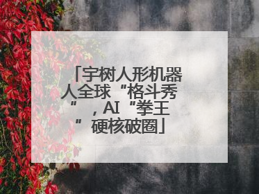 宇树人形机器人全球“格斗秀”，AI“拳王”硬核破圈