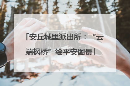 安丘城里派出所：“云端枫桥”绘平安图景