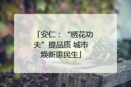 安仁：“绣花功夫”提品质 城市焕新惠民生