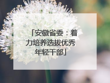 安徽省委：着力培养选拔优秀年轻干部