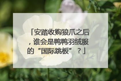 安踏收购狼爪之后，谁会是鸭鸭羽绒服的“国际跳板”？