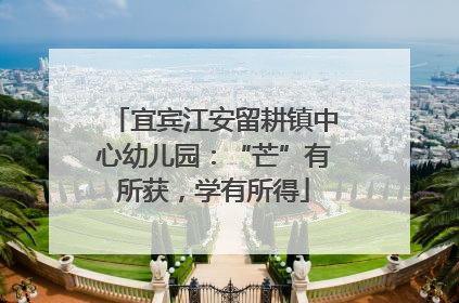宜宾江安留耕镇中心幼儿园：“芒”有所获，学有所得