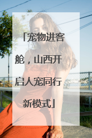 宠物进客舱，山西开启人宠同行新模式