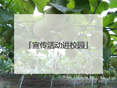 宣传活动进校园
