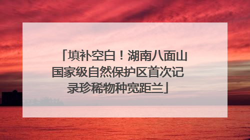 填补空白！湖南八面山国家级自然保护区首次记录珍稀物种宽距兰