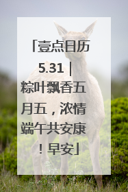 壹点日历5.31｜粽叶飘香五月五，浓情端午共安康！早安