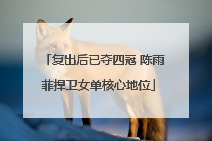 复出后已夺四冠 陈雨菲捍卫女单核心地位