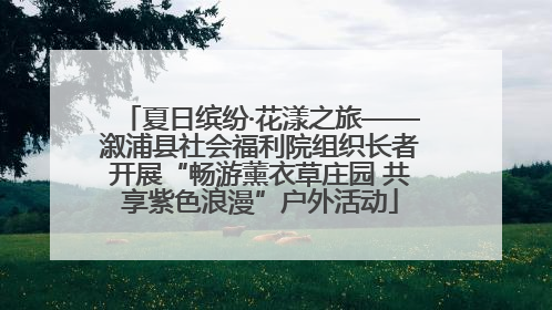 夏日缤纷·花漾之旅——溆浦县社会福利院组织长者开展“畅游薰衣草庄园 共享紫色浪漫”户外活动