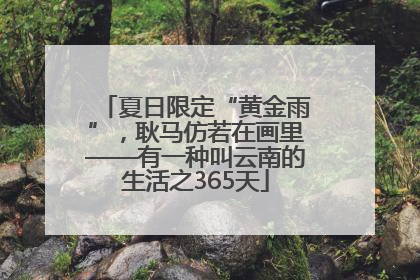 夏日限定“黄金雨”，耿马仿若在画里——有一种叫云南的生活之365天