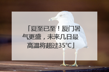 夏至已至！厦门暑气更盛，未来几日最高温将超过35℃