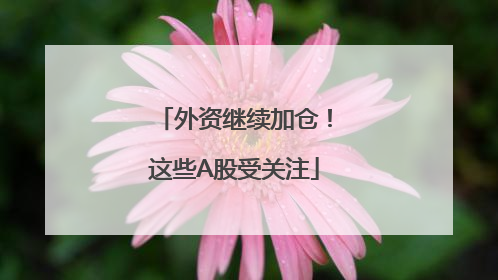 外资继续加仓！这些A股受关注