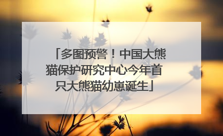 多图预警！中国大熊猫保护研究中心今年首只大熊猫幼崽诞生