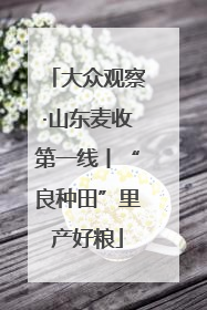 大众观察·山东麦收第一线丨“良种田”里产好粮