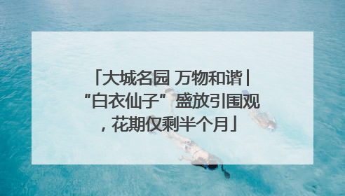 大城名园 万物和谐│“白衣仙子”盛放引围观，花期仅剩半个月