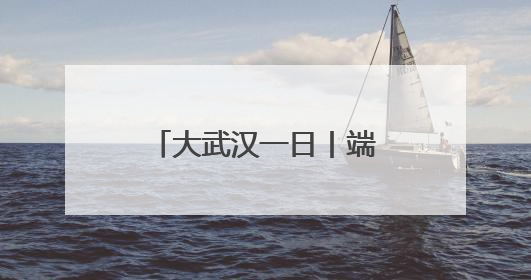 大武汉一日丨端午节，我为动物园小矮马做粽子