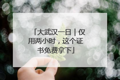 大武汉一日｜仅用两小时，这个证书免费拿下