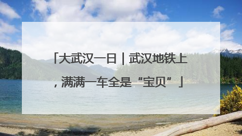 大武汉一日｜武汉地铁上，满满一车全是“宝贝”