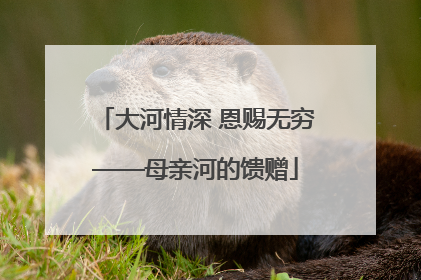 大河情深 恩赐无穷——母亲河的馈赠