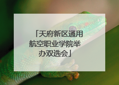 天府新区通用航空职业学院举办双选会