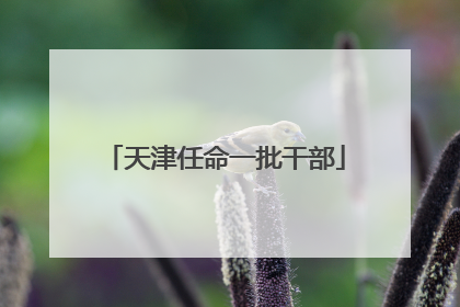 天津任命一批干部