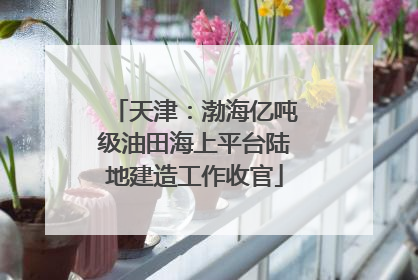 天津：渤海亿吨级油田海上平台陆地建造工作收官