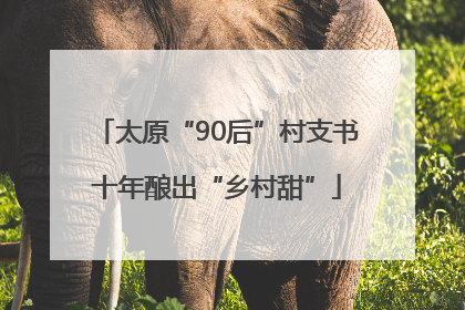 太原“90后”村支书十年酿出“乡村甜”