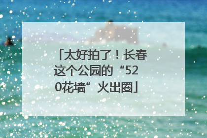 太好拍了！长春这个公园的“520花墙”火出圈