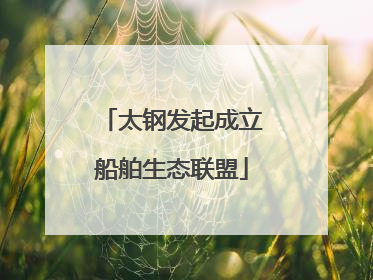 太钢发起成立船舶生态联盟