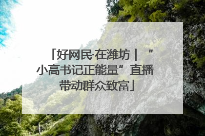 好网民·在潍坊｜“小高书记正能量”直播 带动群众致富