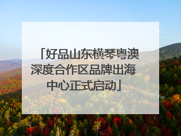 好品山东横琴粤澳深度合作区品牌出海中心正式启动