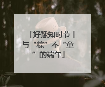 好豫知时节丨与“粽”不“童”的端午