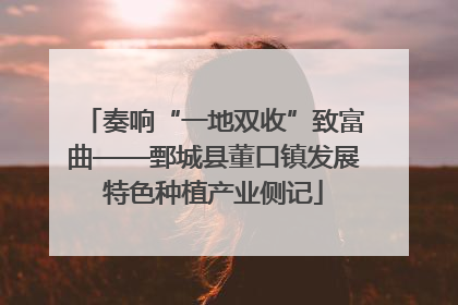 奏响“一地双收”致富曲——鄄城县董口镇发展特色种植产业侧记