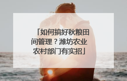 如何搞好秋粮田间管理？潍坊农业农村部门有实招