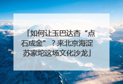 如何让玉巴达杏“点石成金”？来北京海淀苏家坨这场文化沙龙
