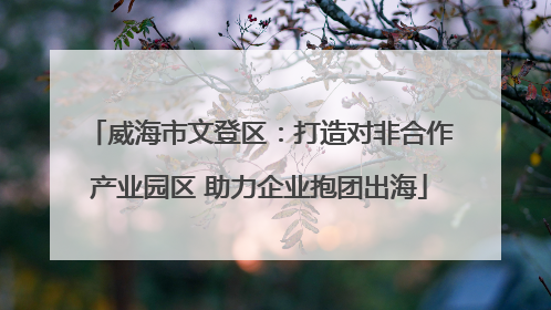 威海市文登区：打造对非合作产业园区 助力企业抱团出海