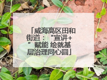 威海高区田和街道：“宣讲+”赋能 绘就基层治理同心圆