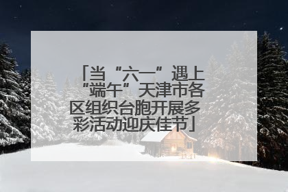 当“六一”遇上“端午”天津市各区组织台胞开展多彩活动迎庆佳节