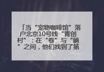 当“宠物咖啡馆”落户北京10号线“青创村”：在“卷”与“躺”之间，他们找到了第三种生活公式
