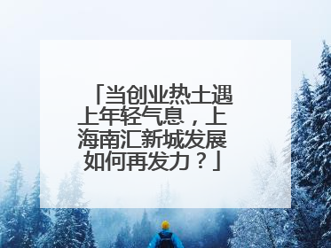 当创业热土遇上年轻气息，上海南汇新城发展如何再发力？