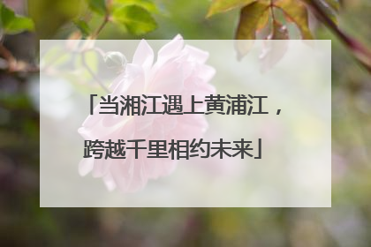当湘江遇上黄浦江，跨越千里相约未来