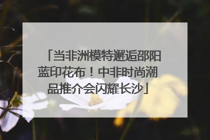 当非洲模特邂逅邵阳蓝印花布！中非时尚潮品推介会闪耀长沙