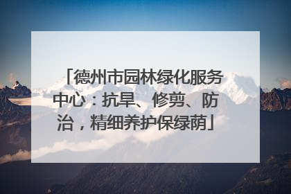 德州市园林绿化服务中心：抗旱、修剪、防治，精细养护保绿荫