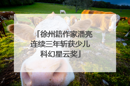 徐州籍作家潘亮连续三年斩获少儿科幻星云奖