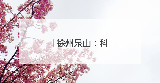徐州泉山：科技创新与产业创新的双向奔赴